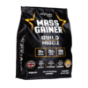 Mass Gainer Novogen 5.4 KG