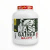 Mass Gainer Max Fit
